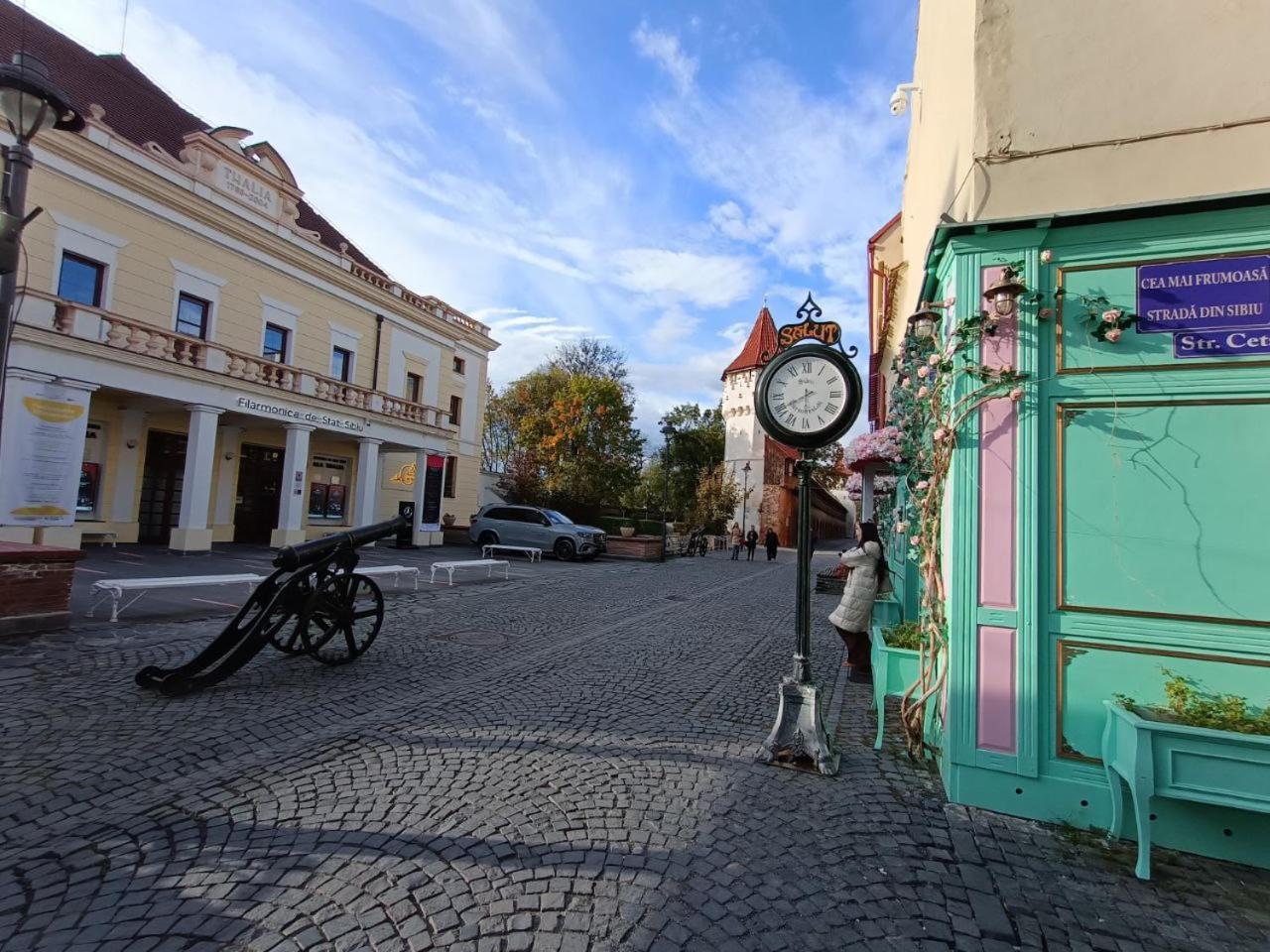 Апартаменты Old Town Cozy Nest Сибиу Экстерьер фото