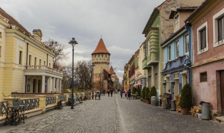 Апартаменты Old Town Cozy Nest Сибиу Экстерьер фото